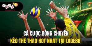 Cá Cược Bóng Chuyền - Kèo Thể Thao Hot Nhất Tại Lode88