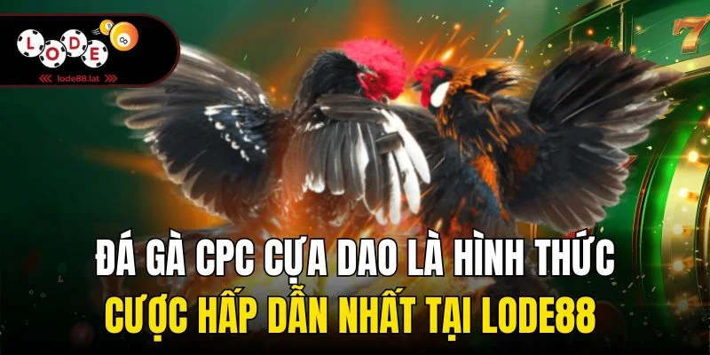 Đá gà CPC cựa dao là hình thức cược hấp dẫn nhất tại Lode88