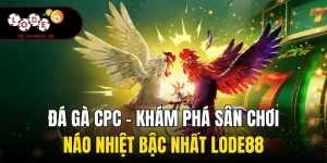 Đá Gà CPC - Khám Phá Sân Chơi Náo Nhiệt Bậc Nhất Lode88