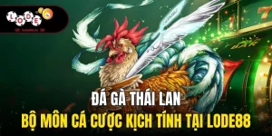 Những chiến kê đá Thái Lan sở hữu ngoại hình săn chắc, dẻo dai