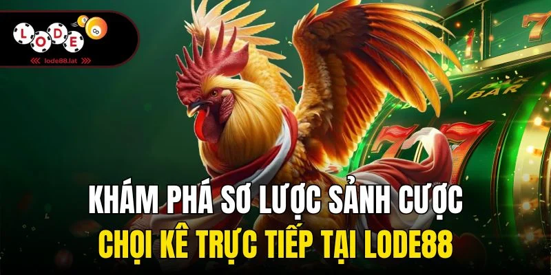 Khám phá sơ lược sảnh cược chọi kê trực tiếp tại Lode88