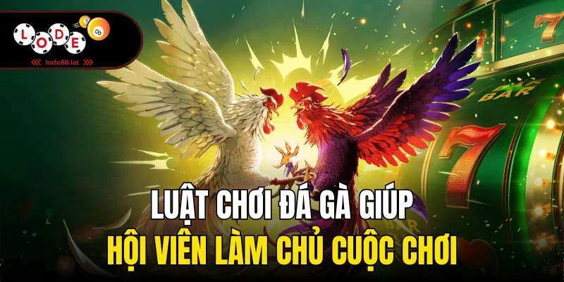 Luật chơi đá gà giúp hội viên làm chủ cuộc chơ
