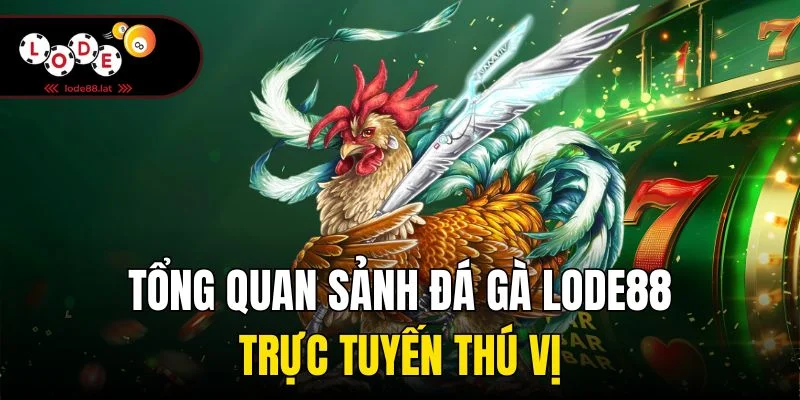 Tổng quan sảnh đá gà Lode88 trực tuyến thú vị