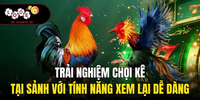 Trải nghiệm chọi kê tại sảnh với tính năng xem lại dễ dàng